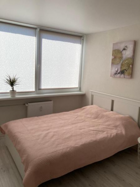White Studio Taikos pr. 20 Klaipėda